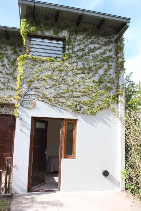 Casita Moderna Frente Al Bosque Leilighet Mar del Plata Eksteriør bilde
